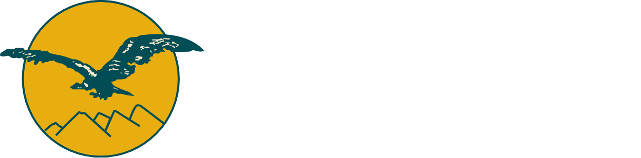 logo_footer_programas